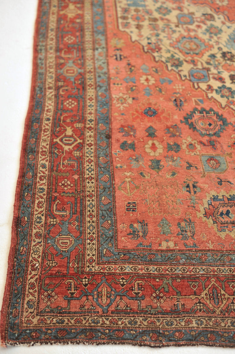 2'10 x 4' Antique 19th Century Master Weaver signed rug #2053ML / 3x4  Vintage Rug - Blue Parakeet Rugs