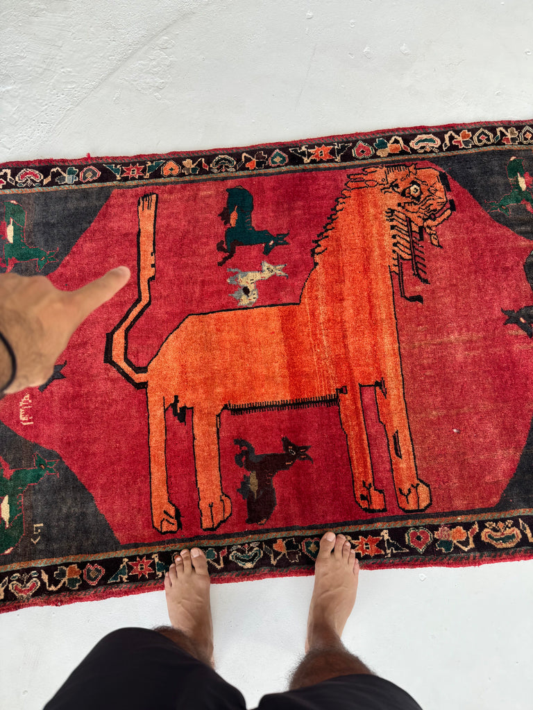 RESERVED FOR TJ*** MAGNIFICENT South West Persian Lion Rug 🦁 | Tangerine Lion with Tail Up, Symbolic Art | 3.9 x 5.6