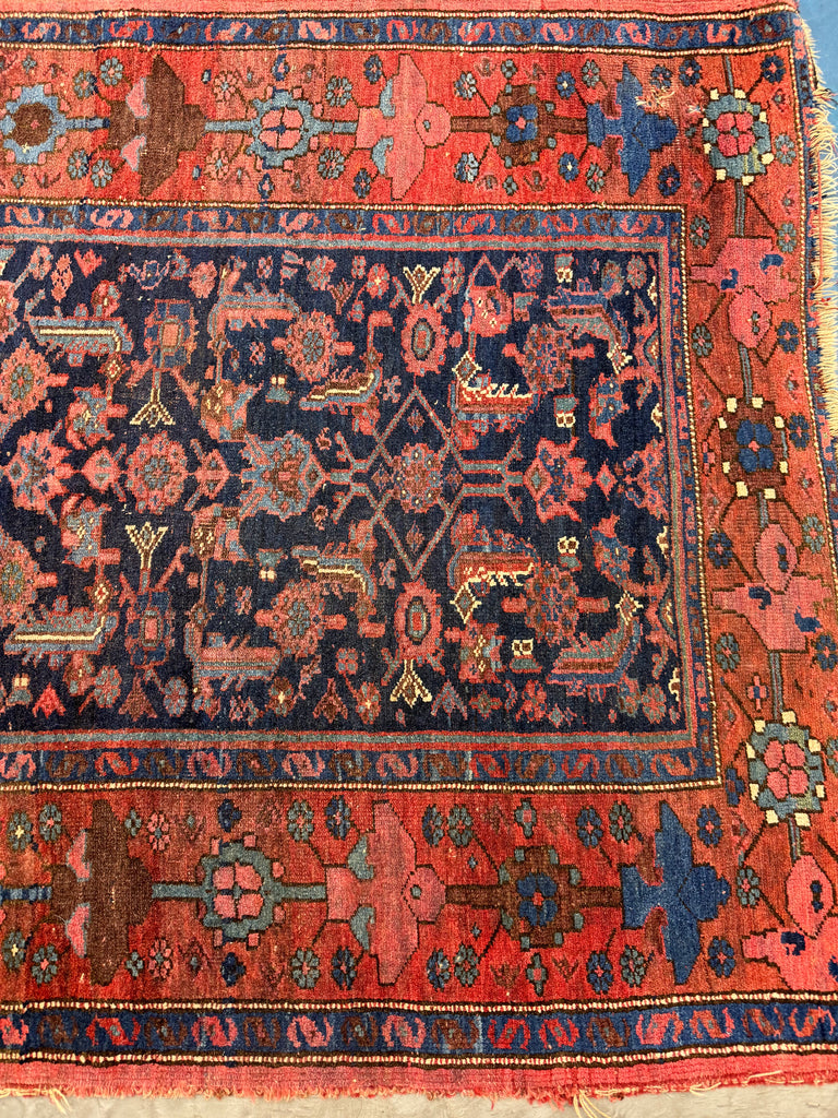 SOLD | UNREAL BORDER BIDJAR | Unusual Berry, Pomegranate & Raspberry Border | 4.2 x 6.6