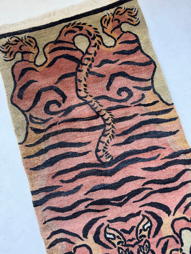 ICONIC TIBETAN TIGER | Eastern Spiritual Symbolism Meets Western Fashion Sensibility | ~ 3 x 6