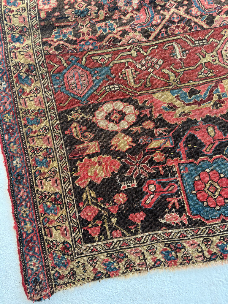 COLLECTOR'S Antique Persian Halvai Bidjar SAMPLER or "WAGIREH" | Rug for Visionaries, Innovators, and Sales Machines | 3.8 x 4.5