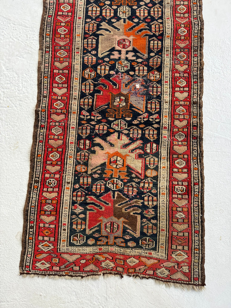 SOLD | RARE SIZE Short Narrow Runner with Serrated Palmettes & Botehs | Antique Caucasian Tribal runner | ~ 2.2 x 5.3