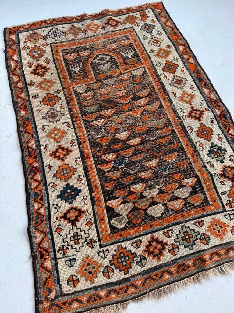 Charming Charcoal and Tangerine Antique Prayer Rug | Lovely Tribal throw rug | ~ 3 x 5