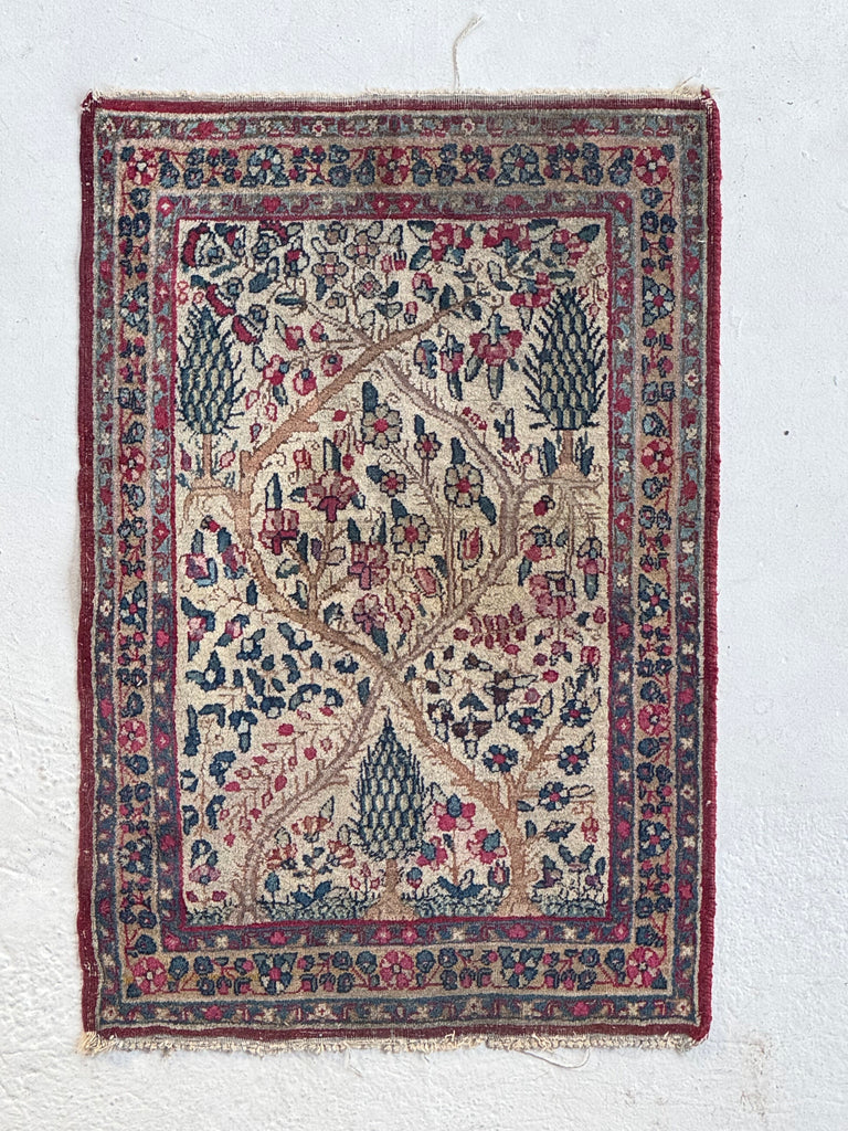 SMALL & MIGHTY Tree of Life Kerman Lavar | Collectable Rug Mat | 2 x 3