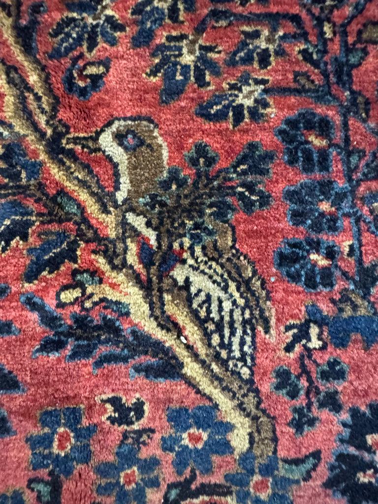 SOLD | SENSATIONAL Palatial Antique Persian Sarouk with PARADISE BIRDS & CYPRESS TREES | Incredible Soft Plush Glossy Wool | 10.4 x 19.9