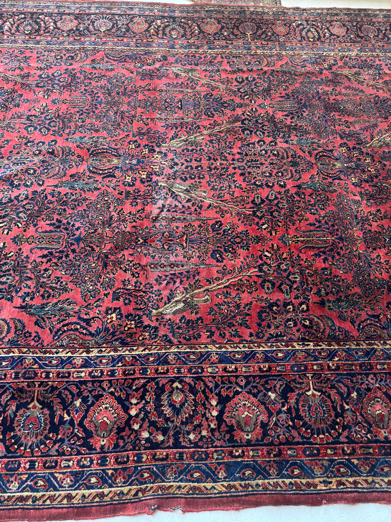 RESERVED FOR JENNIFER*** SENSATIONAL Palatial Antique Persian Sarouk with PARADISE BIRDS & CYPRESS TREES | Incredible Soft Plush Glossy Wool | 10.4 x 19.9