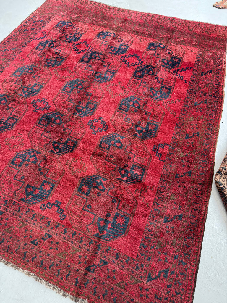 Coming Soon...PLUSH Vintage Tribal Carpet | Bold Elephant Foot Pattern in Rich Reds & Watermelon Abrash | 7.2 x 9