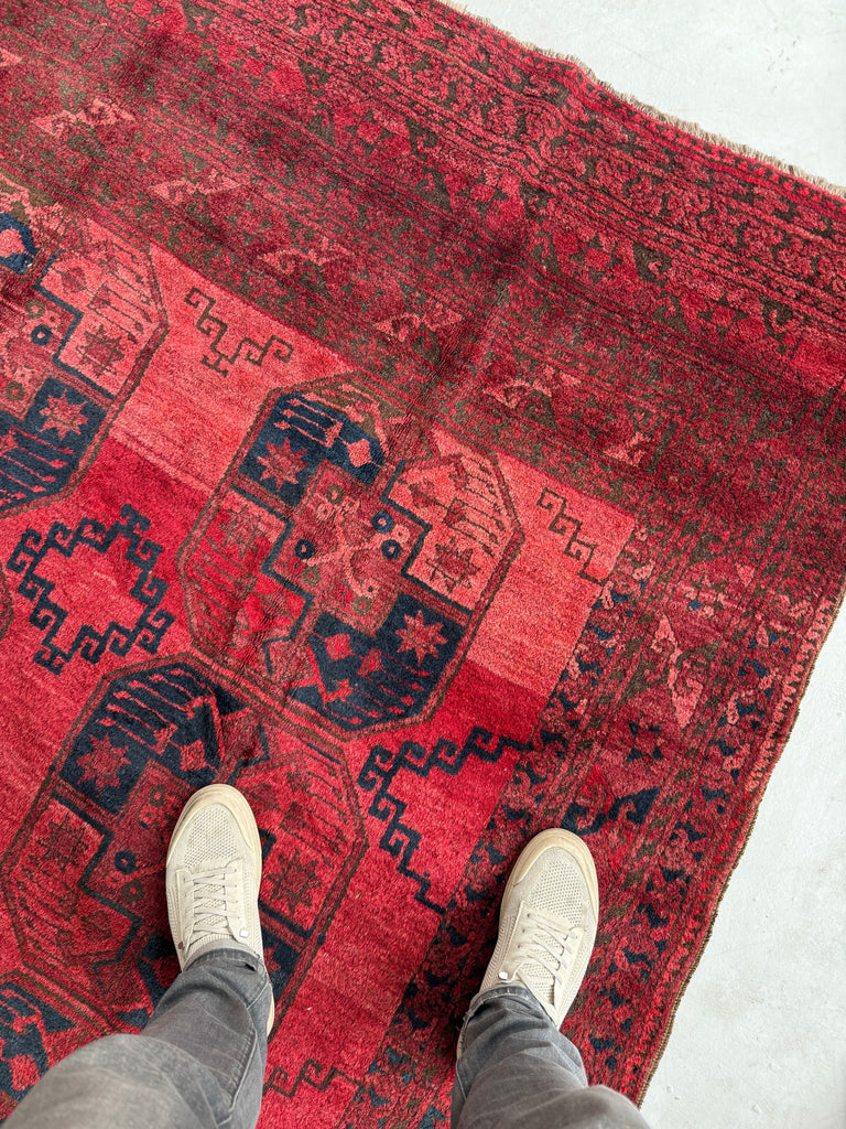 Coming Soon...PLUSH Vintage Tribal Carpet | Bold Elephant Foot Pattern in Rich Reds & Watermelon Abrash | 7.2 x 9