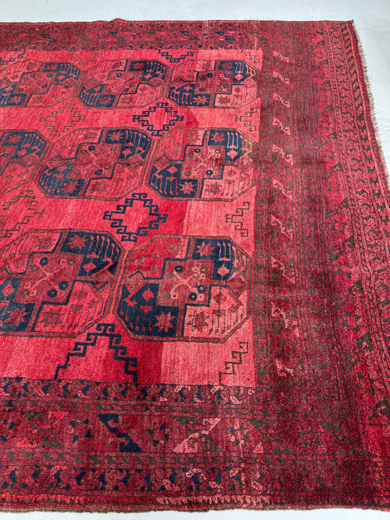 Coming Soon...PLUSH Vintage Tribal Carpet | Bold Elephant Foot Pattern in Rich Reds & Watermelon Abrash | 7.2 x 9