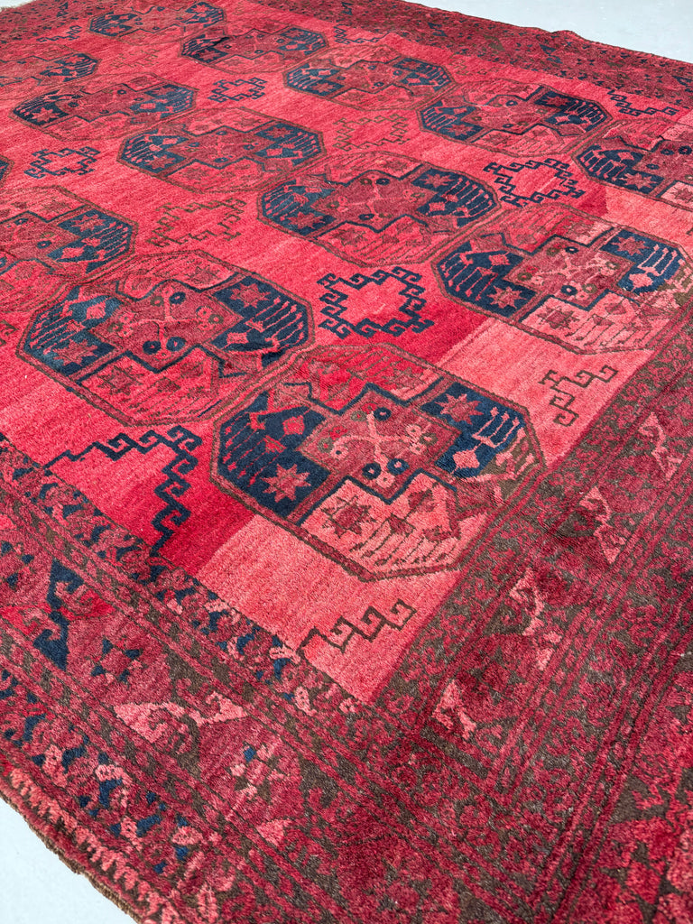 Coming Soon...PLUSH Vintage Tribal Carpet | Bold Elephant Foot Pattern in Rich Reds & Watermelon Abrash | 7.2 x 9