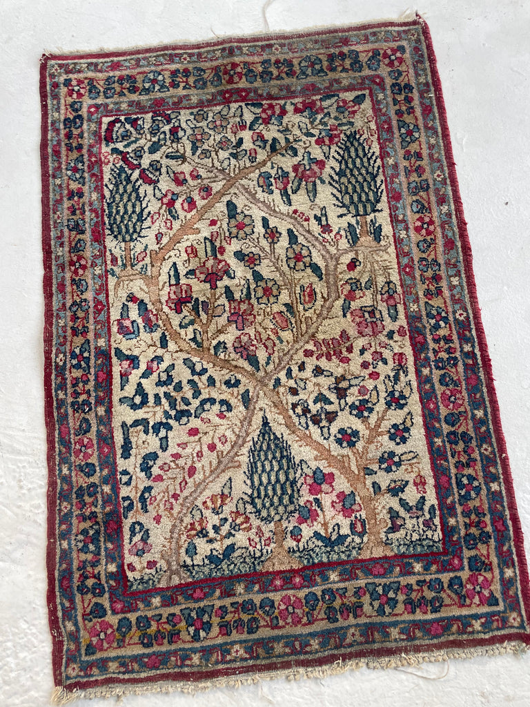 SMALL & MIGHTY Tree of Life Kerman Lavar | Collectable Rug Mat | 2 x 3