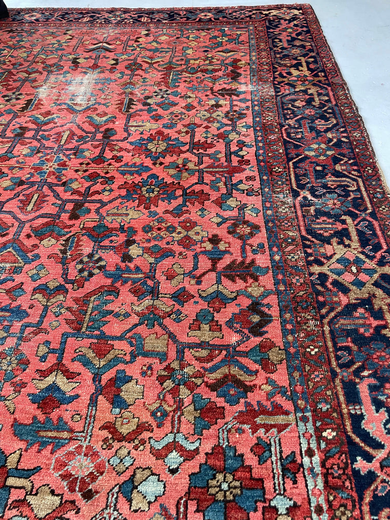 RESERVED FOR B*** UNREAL Blooming Jungle Coral Reef Antique Persian Heriz Carpet | Unmatched Dyes in Rare All-Over Design | 8.9 x 11.9