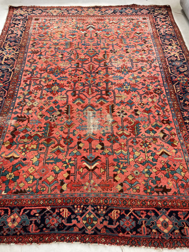 RESERVED FOR B*** UNREAL Blooming Jungle Coral Reef Antique Persian Heriz Carpet | Unmatched Dyes in Rare All-Over Design | 8.9 x 11.9