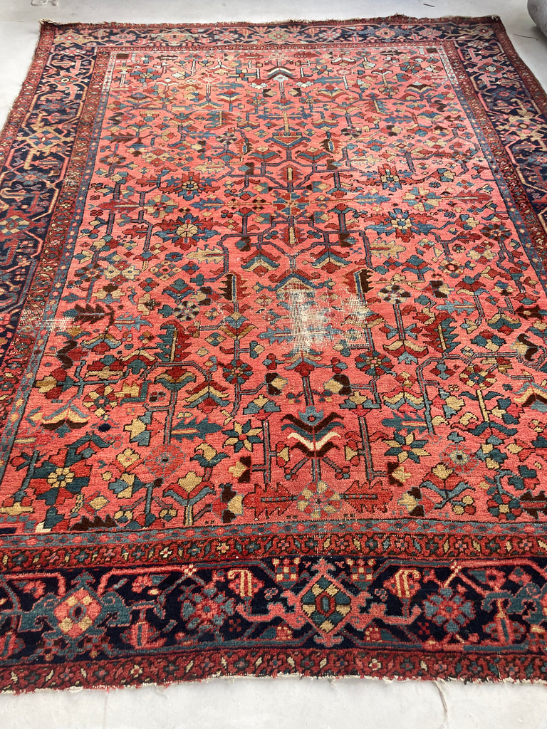 RESERVED FOR B*** UNREAL Blooming Jungle Coral Reef Antique Persian Heriz Carpet | Unmatched Dyes in Rare All-Over Design | 8.9 x 11.9