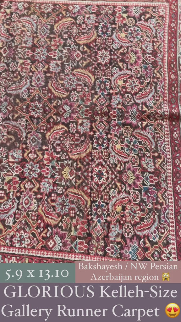 Antique Northwest Persian Bakshayesh | 5.9 x 13.10 | BEAUTIFUL European Sized Ancient Rug